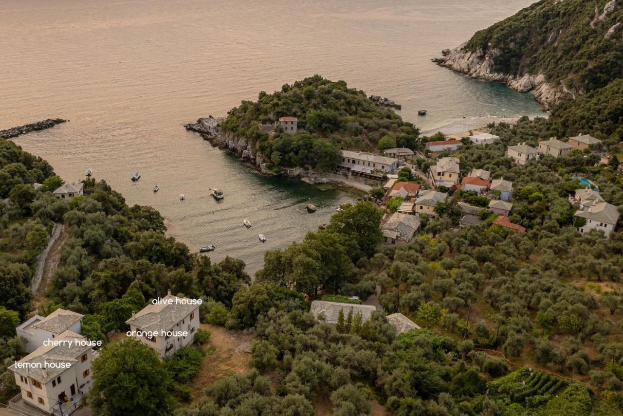Olive House In Damouchari With A Sea View - Delicious Houses Exterior photo