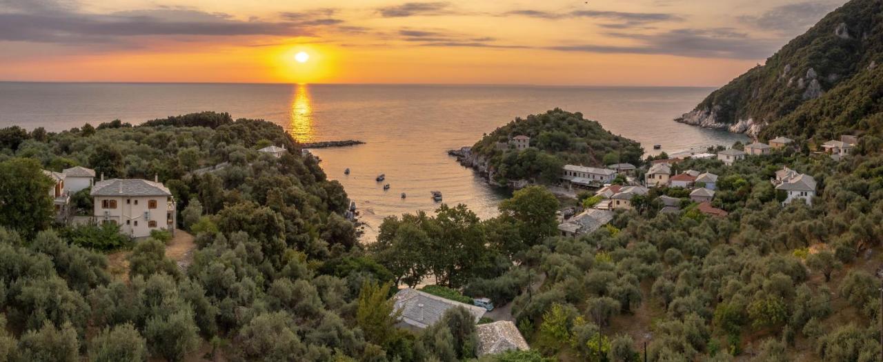 Olive House In Damouchari With A Sea View - Delicious Houses Exterior photo